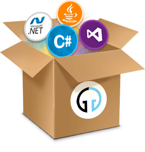 Software development